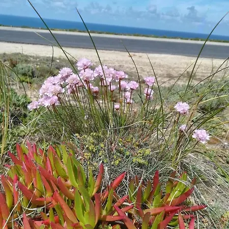 Camarcao Violante アパート フォス・ド・アレーリョ